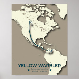 Poster Carte de migration de la Paruline Jaune - Minimali