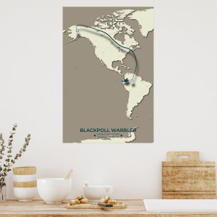 Poster Carte de migration de la Paruline noire - Minimali