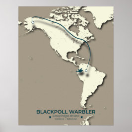 Poster Carte de migration de la Paruline noire - Minimali
