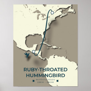 Poster Carte de migration des colibris à gorge rubis