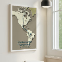 Carte de migration du bécasseau semi-palmé - minim