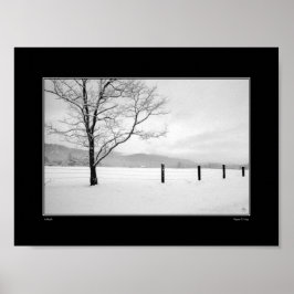 Poster Carte de solitude