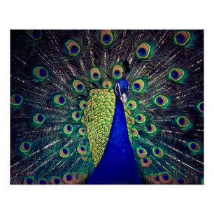 Poster Carte de voeux pliée bleu Cobalt