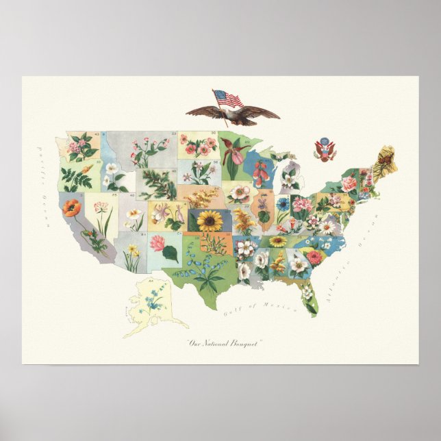 Poster Carte des fleurs des États-Unis - Notre Bouquet na (Devant)