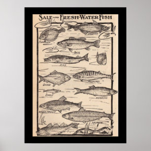 Poster Carte des poissons d'art vintage frais et salés