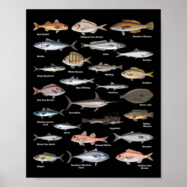 Poster Carte d'identification du poisson vintage (Devant)
