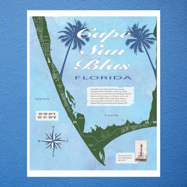 Poster Carte du Cap San Blas Floride (Créateur téléchargé)
