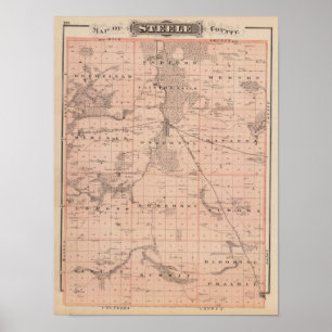 Poster Carte du comté de Steele, Minnesota