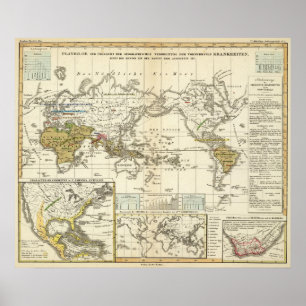 Poster Carte du monde des maladies