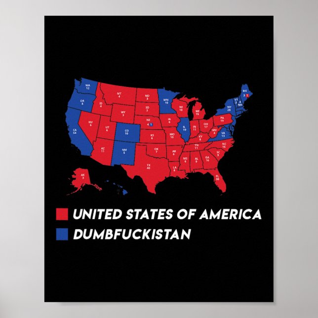 Poster Carte Électorale 2024 Etats-Unis D'Amérique Dumbfo (Devant)