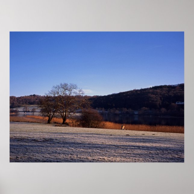 Poster Carte Esthwie Water Winter Holiday (Devant)