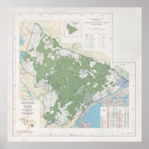 Poster Carte forestière nationale Francis Marion (1981)