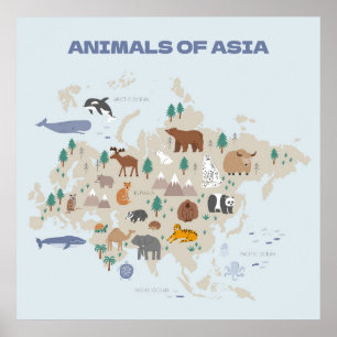 Poster Carte illustrée des animaux d'Asie