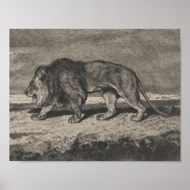 Poster carte lion vintage (Devant)