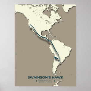 Poster Carte migratoire de Swainson sur la faucille - Vin