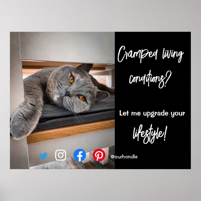 Poster carte postale de l'immobilier cramponné chats viva (Devant)