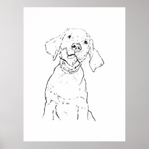 Poster Carte postale du chien Retriever du Labrador