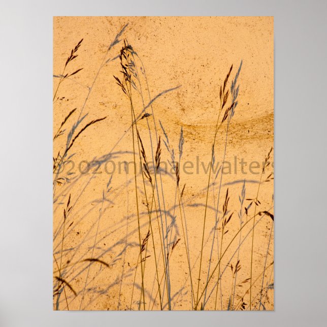 Poster Carte Postale Gris Et Ombres D'Été (Devant)