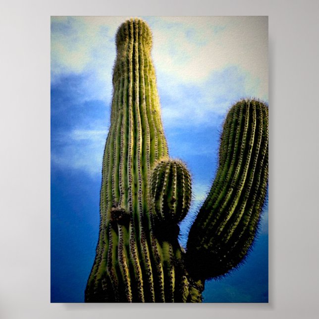 Poster Carte postale haute Saguaro Cactus (Devant)