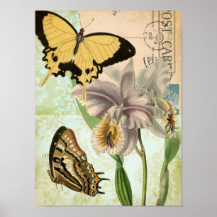Poster Carte postale vintage avec des papillons et des