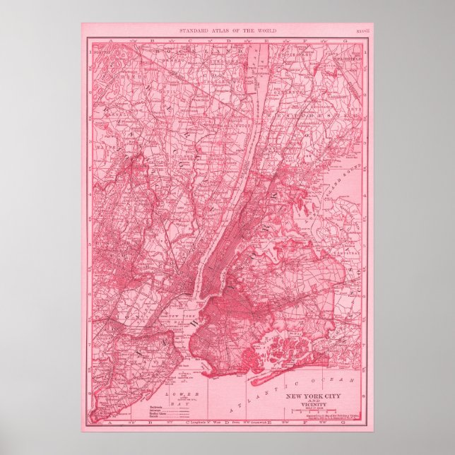 Poster Carte rose de New York (Devant)