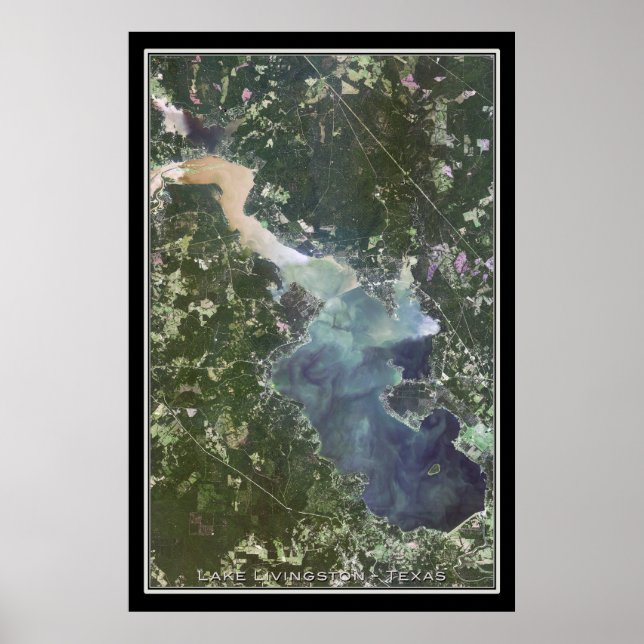 Poster Carte satellite du lac Livingston Texas (Devant)