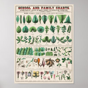 Poster Carte scolaire vintage pour l'enseignement à domic