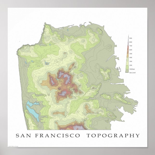 Poster Carte topo de San Francisco - Blanc - 12x12 (Devant)