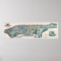 Carte topographique de la ville de New York 1865