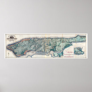 Poster Carte topographique de la ville de New York 1865
