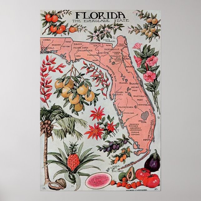 Poster Carte vintage de Floride (Devant)