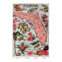 Carte vintage de Floride (1917)