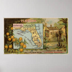 Poster Carte vintage de Floride avec illustrations (1890)