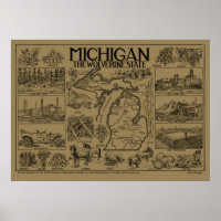 Carte vintage du Michigan (1912) - Tan