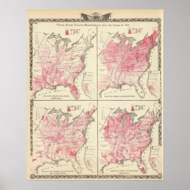 Poster Cartes de vitalité des États-Unis (Devant)