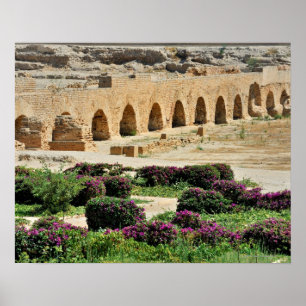 Poster Carthage ancienne ville punique, détruite et