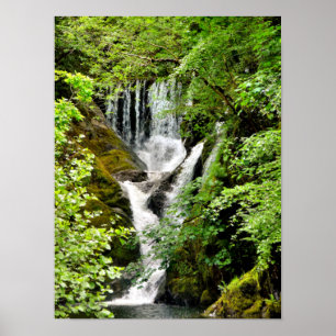 POSTER CASCADE