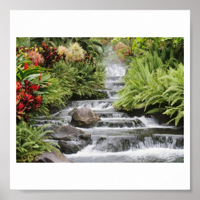 Poster Cascade (Devant)