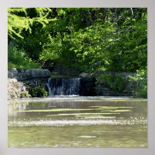 Poster cascade (Devant)
