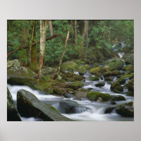 Cascade à Cosby
