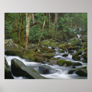 Poster Cascade à Cosby