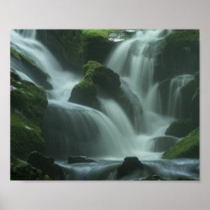 Poster Cascade calmante