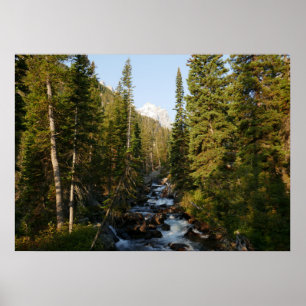 Poster Cascade Creek à Grand Teton