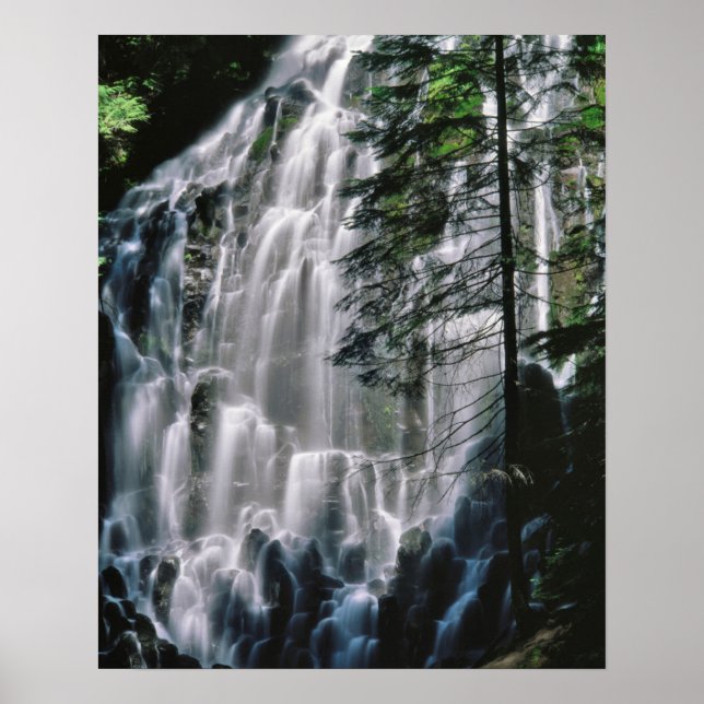 Poster Cascade dans la forêt, Oregon (Devant)