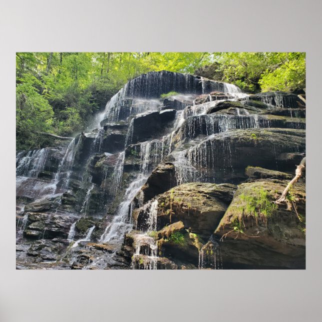 Poster Cascade dans la forêt verte de printemps (Devant)
