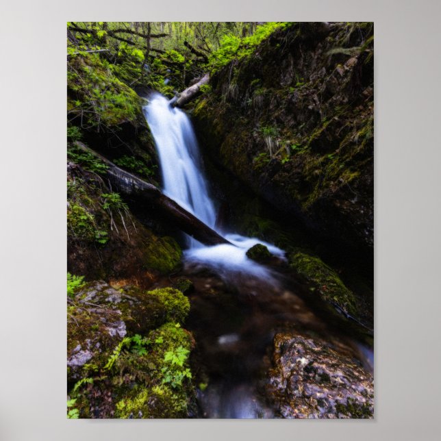 Poster Cascade dans une forêt enchantée (Devant)