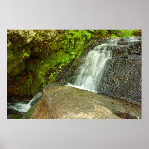 Poster Cascade de Hungarian Falls dans une forêt moussue