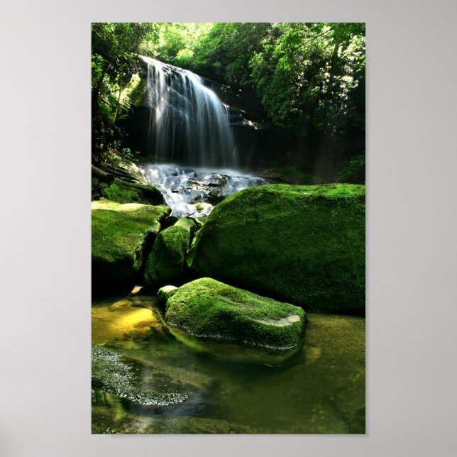 Poster Cascade de la forêt de pluie verdoyante au soleil (Devant)