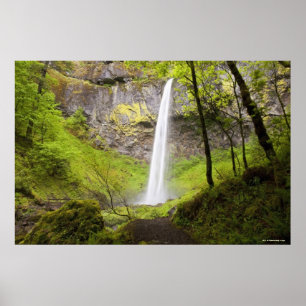 Poster Cascade floue autour de verdure luxuriante en Oreg