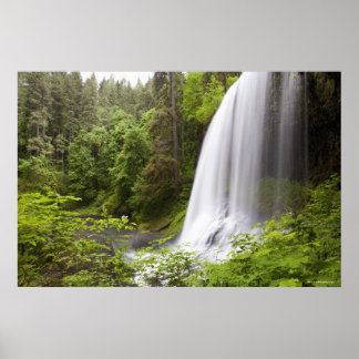 Poster Cascade floue et vue sur la forêt en Oregon